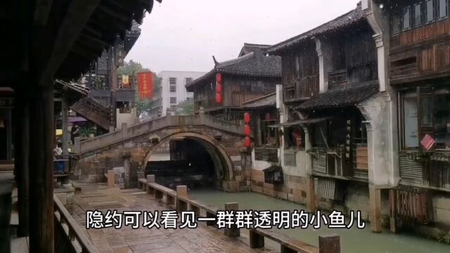 自驾游,烟雨江南,乌镇