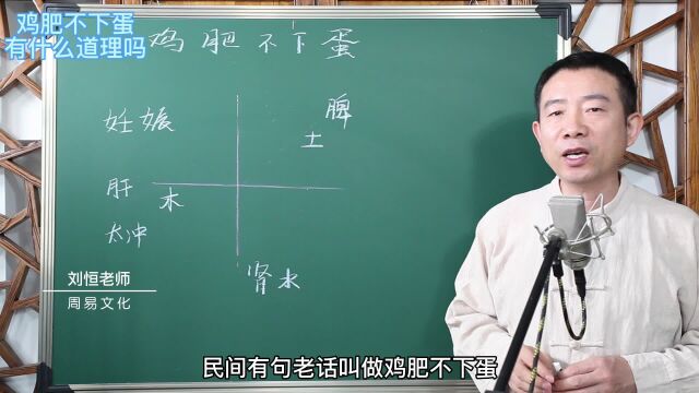 刘恒易经:鸡肥不下蛋 有什么道理吗