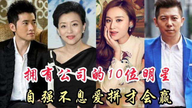 拥有公司最多的10位明星,胡海泉 章子怡双双上榜,看看都有谁