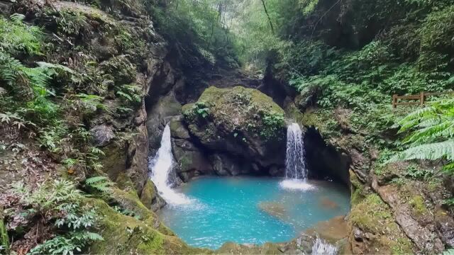 重庆黑山谷景区游玩下集