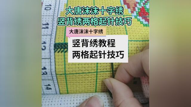 学会的双击评论区留言哦,想了解更多的十字绣技巧点赞点关注 #十字绣 #十字绣教程 #新市井匠人