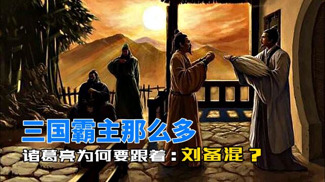 第75集:三国霸主那么多,诸葛亮为何要跟着刘备混?