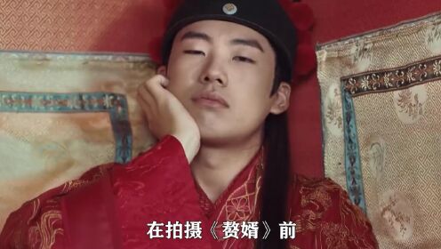 赘婿2电视剧在线观看免费
