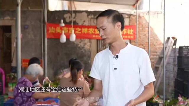 汕头电视台专题报道我们的十年,金玉三捻橄榄