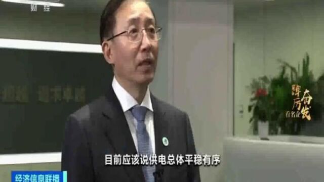 央视“走进国家电网”专访辛保安董事长 