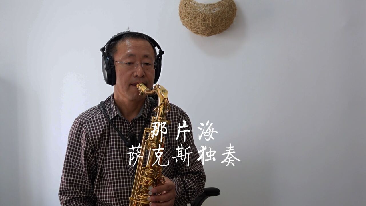 《那片海》韓紅的老歌懷舊金曲薩克斯獨奏saxophone cover