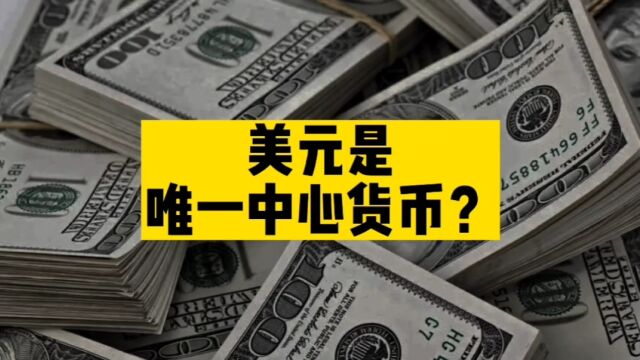 又一个专家被网友围攻,只因为说了“美元是唯一中心货币”!