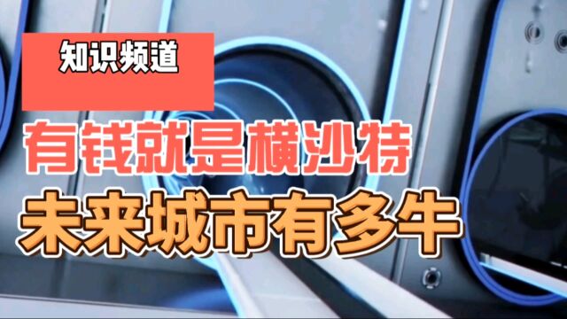 长120公里可住500万人,沙特未来之城耗资1万亿美元,到底有多牛