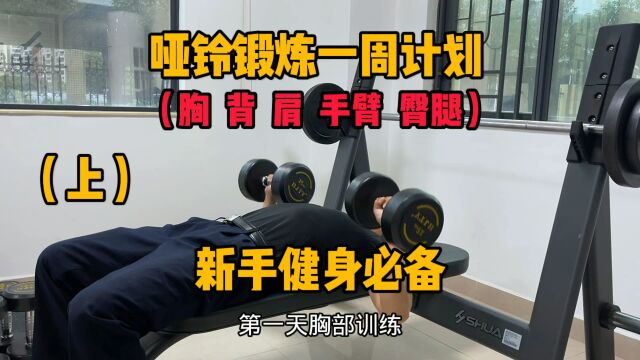 哑铃锻炼一周训练计划,新手健身必备