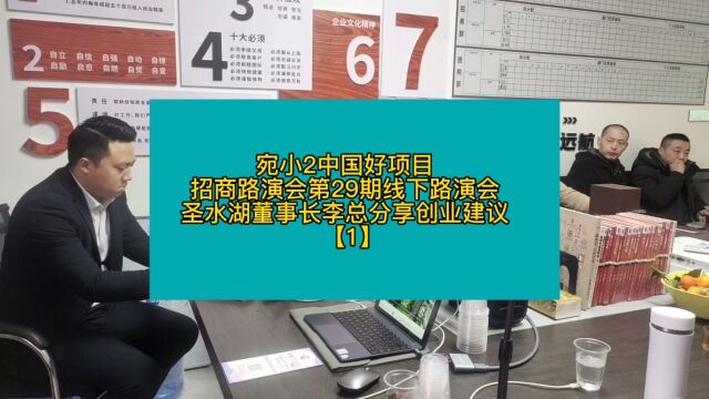 宛小2好项目第29期招商路演会圣水湖董事长李总分享创业历程【1】