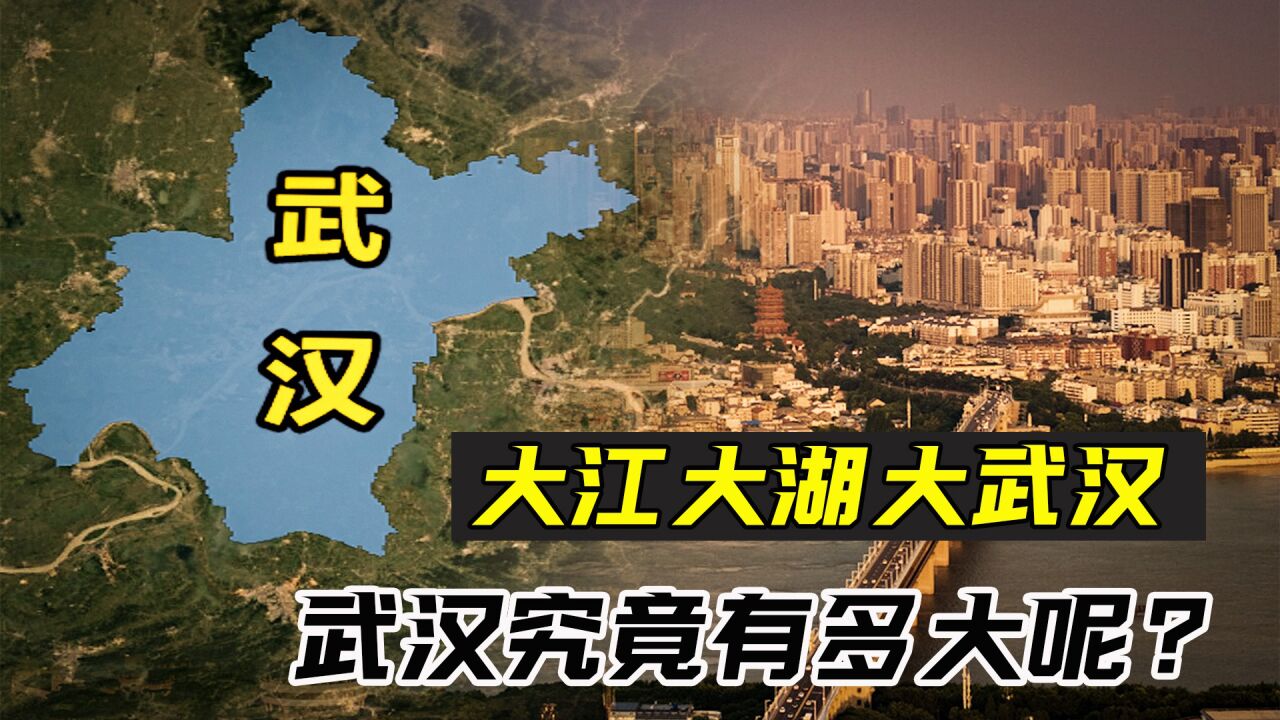 大江大湖大武汉,面积等于80个巴黎,以大著称的武汉究竟有多大?