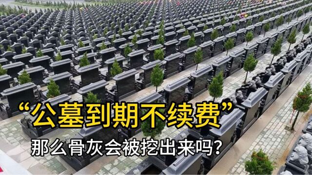 公墓只能使用20年,如果到期子孙不续费,骨灰会被挖出来吗?