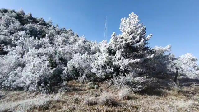 福建下雪了!