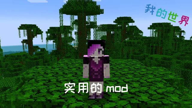 我的世界:实用的mod