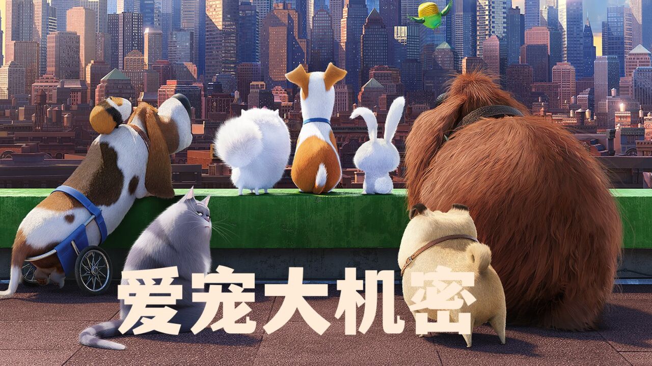 爱宠大机密，萌宠大过招，宠物狗，暴躁兔，长毛犬，博美犬……_腾讯视频