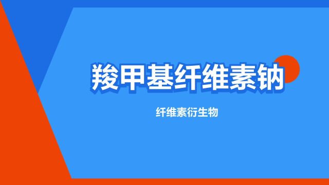 “羧甲基纤维素钠”是什么意思?