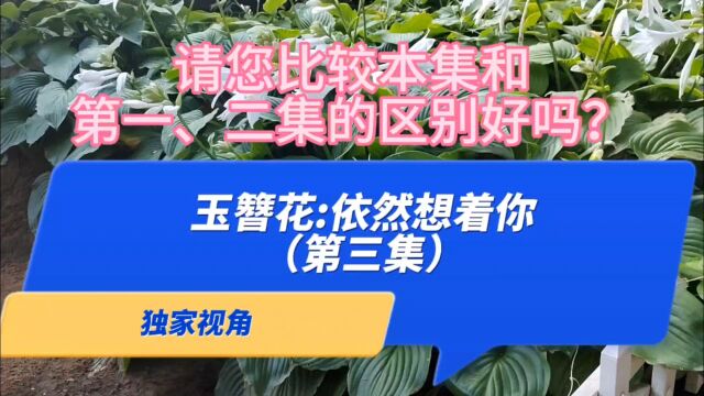 独家视角:依然想着你玉簪花(第三集)请比较本集和第一二集配器的区别?