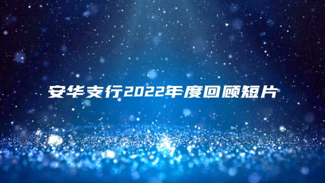 安华支行2022年度回顾短片