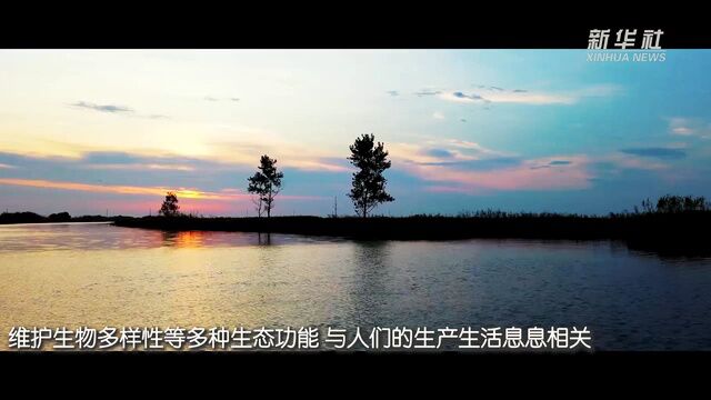 我国新增国际重要湿地18处