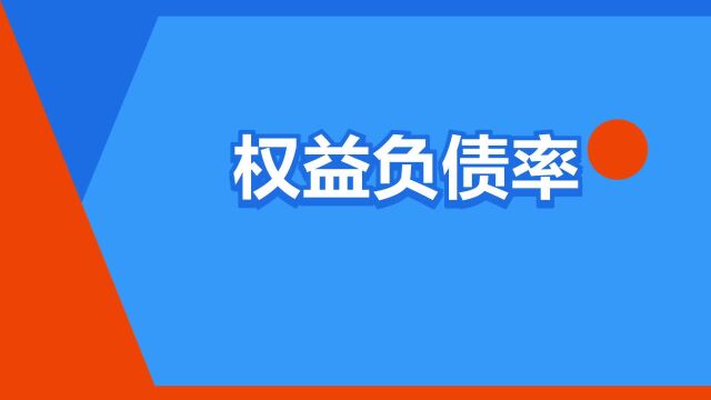 “权益负债率”是什么意思?