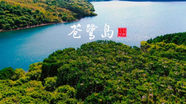 辽阳市弓长岭区汤河水库苍鹭岛