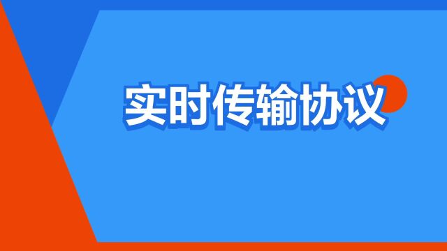 “实时传输协议”是什么意思?