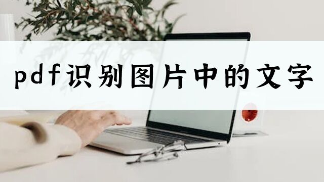 PDF如何识别图片文字?教你一招简单方法