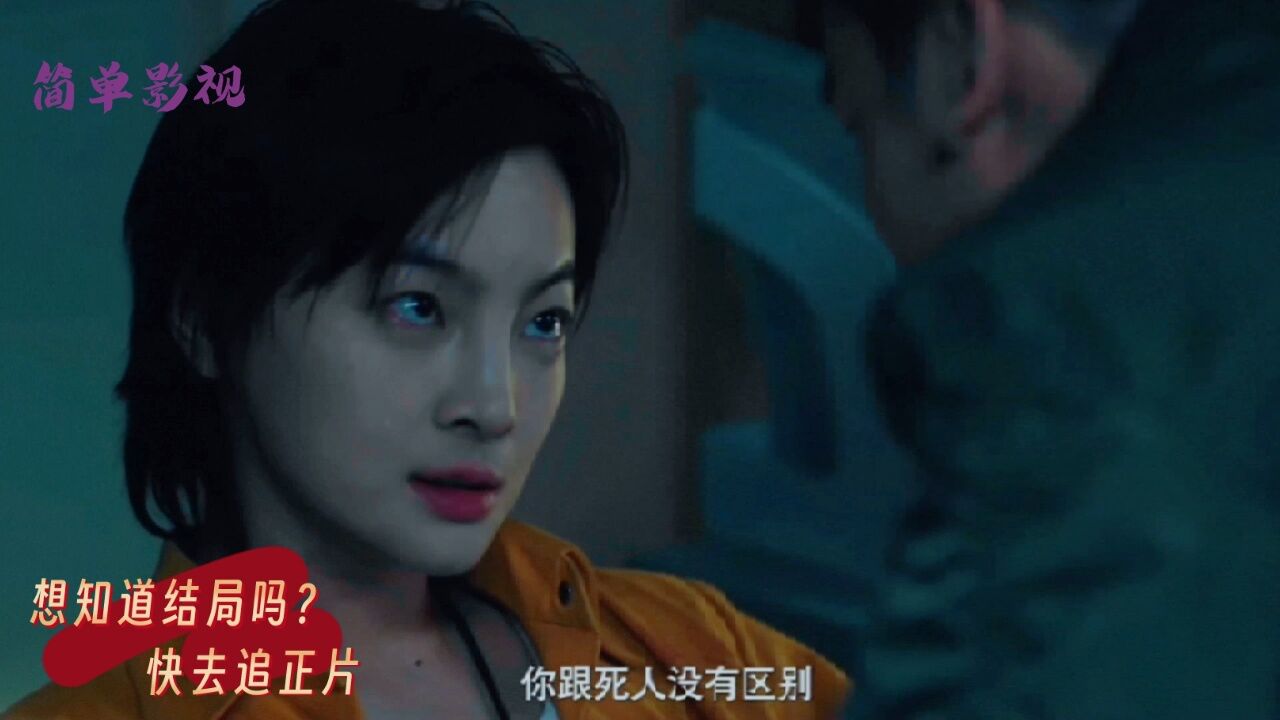 狙击之王:暗杀  安娜被人带走强行打入了纳米炸弹,让她去暗杀新酋长