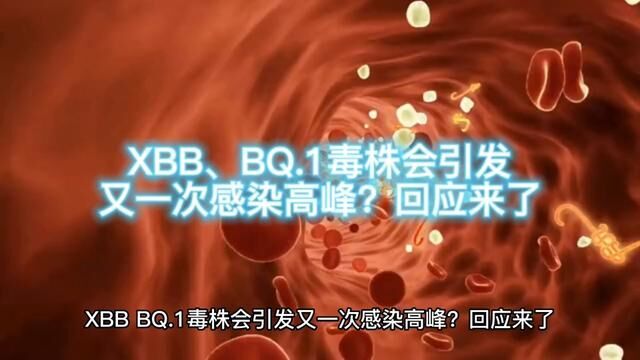 XBB、BQ.1毒株会引发又一次感染高峰?回应来了→ #生命科学 #免疫细胞 #免疫系统