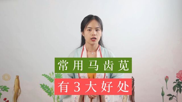 马齿苋有哪些功效?在农村,人们这样利用,给健康带来了3个好处