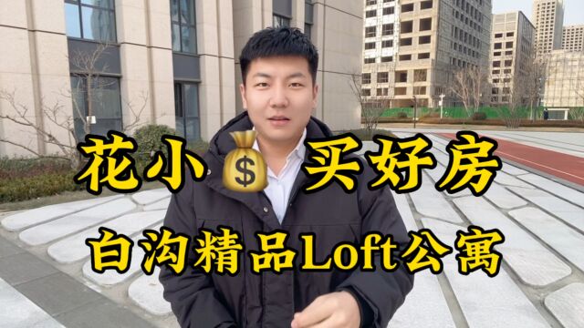 白沟Loft公寓//多少钱一平米?白沟房价2023最新消息!