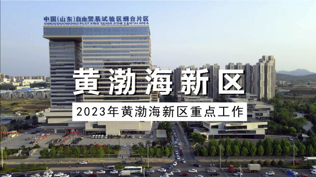 2023年黄渤海新区重点工作出炉