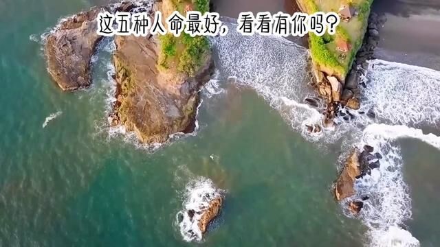 这五种人命最好,看看有你吗?#人生感悟 #情感语录 #我的人生哲学