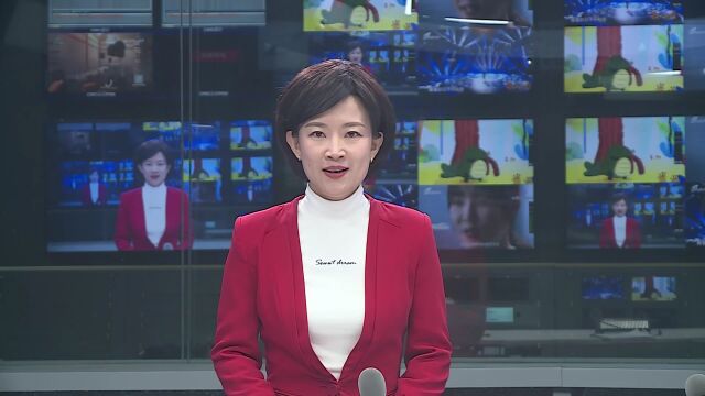 我县召开招商引资工作一季度“开门红”安排部署会