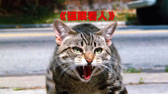 《猫眼看人》因为爱情,男人毫不犹豫的接受挑战!