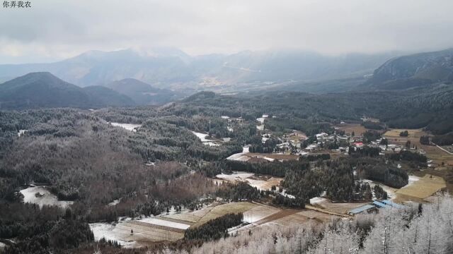 皇木的雪和雪中的树挂