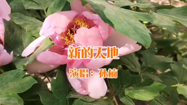 孙楠演唱的歌曲《新的天地》,请欣赏