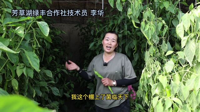 【新时代新征程新伟业】市人民检察院:发挥检察职能 增进民生福祉