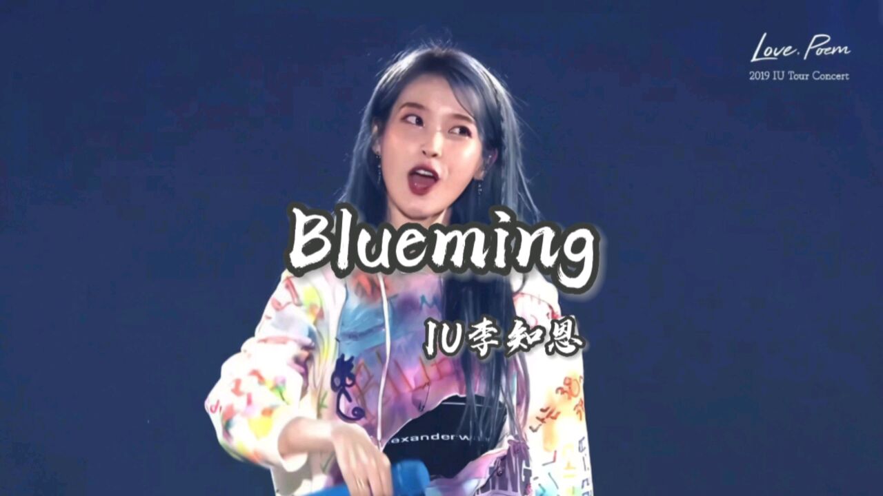 iublueming演唱会卫衣图片