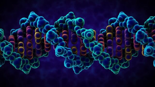 DNA的结构MITx Bio(英文原声)