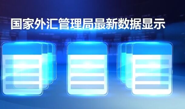 国家外汇管理局:今年上半年我国国际收支保持基本平衡