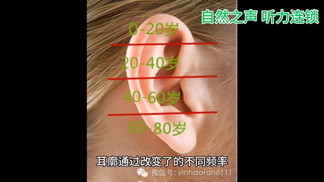 耳朵是如何做到声源定位的