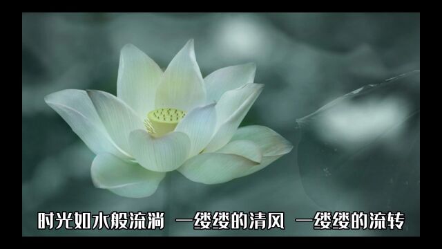 时光静好,岁月长流