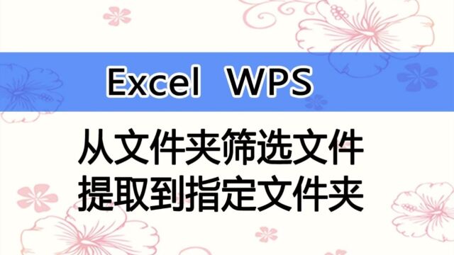 从文件夹中将符合条件的文件复制到另一个文件夹,支持图片、PDF、WORD和Excel文件