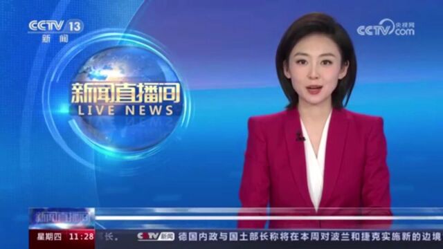 【央视CCTV13新闻直播间】各地水果进入采收旺季,昭通苹果受青睐