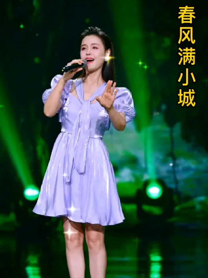 歌手王紫菲个人演唱会图片