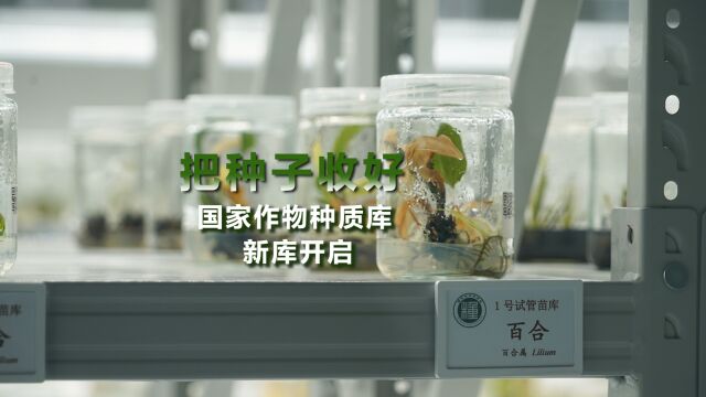 视频|把种子收好,国家作物种质库新库启动