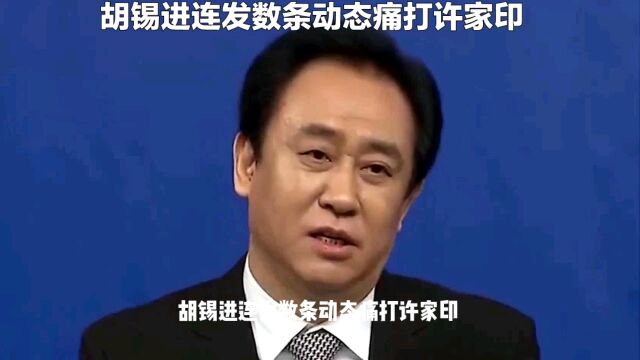 胡锡进连发数条动态痛打许家印,却被翻出往日坚定支持许家印言论