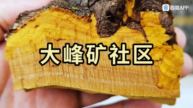 宁夏石嘴山大武口 文明南路27号 出墙册页游戏射手座性格.