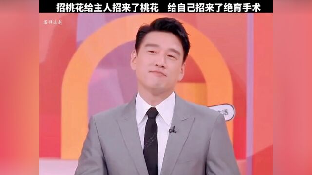 招桃花真的给主人招来了桃花